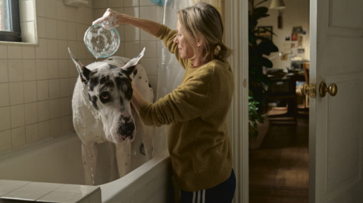 Senior Screening: The Friend Image