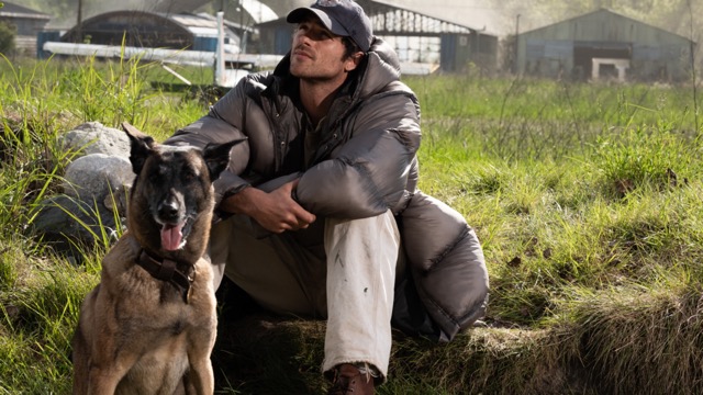 The Dog Stars